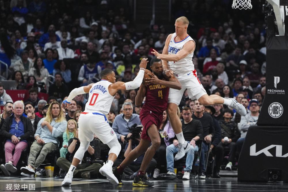 职业发展环 职业发展环